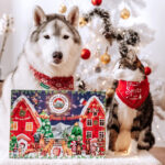 Adventskalender Fuer Hunde