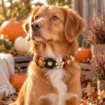 Blumenhalsband BOHO Amber