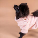 Furry Strickpullover Fuer Hunde Pink