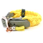 Halsband SUNSHINE – Bild 2