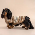 Herbst Medley Alpaka Hundepullover Braun