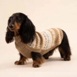 Herbst Medley Alpaka Hundepullover Braun