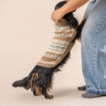 Herbst Medley Alpaka Hundepullover Braun