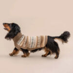 Herbst Medley Alpaka Hundepullover Braun