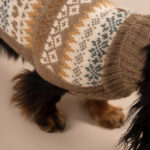 Herbst Medley Alpaka Hundepullover Braun