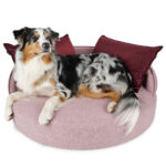 Hundebett Island Struqturo