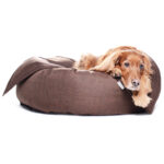 Hundebett K-Nax Softline – Bild 2