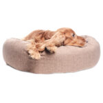 Hundebett K-Nax Softline – Bild 3