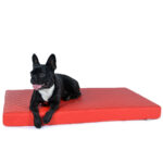 Hundebett Nuvola aus Kunstleder Gesteppt – Bild 3