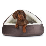 Hundebett Shell Velvet – Bild 3