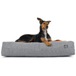 Hundebett Twiddle SLII Gesteppt – Bild 2