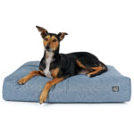 Hundebett Twiddle SLII Gesteppt – Bild 3