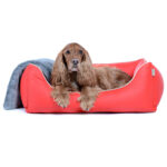 Hundebett Worldcollection Kunstleder – Bild 14