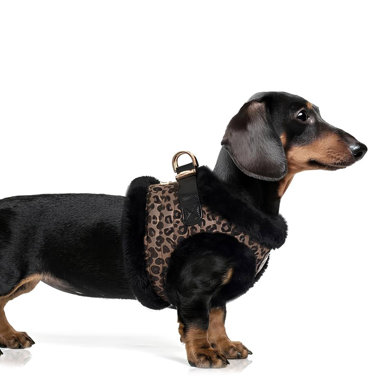 Hundegeschirr ASHA