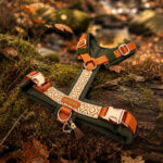 Hundegeschirr BOHO AMBER