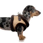 Hundegeschirr MONTY