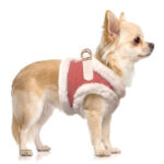 Hundegeschirr SOLENE