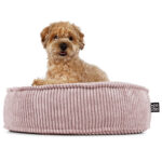 Hundebett Mio Cordline – Bild 2