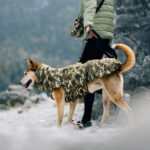 Hundemantel Alaska AKTIV Camo