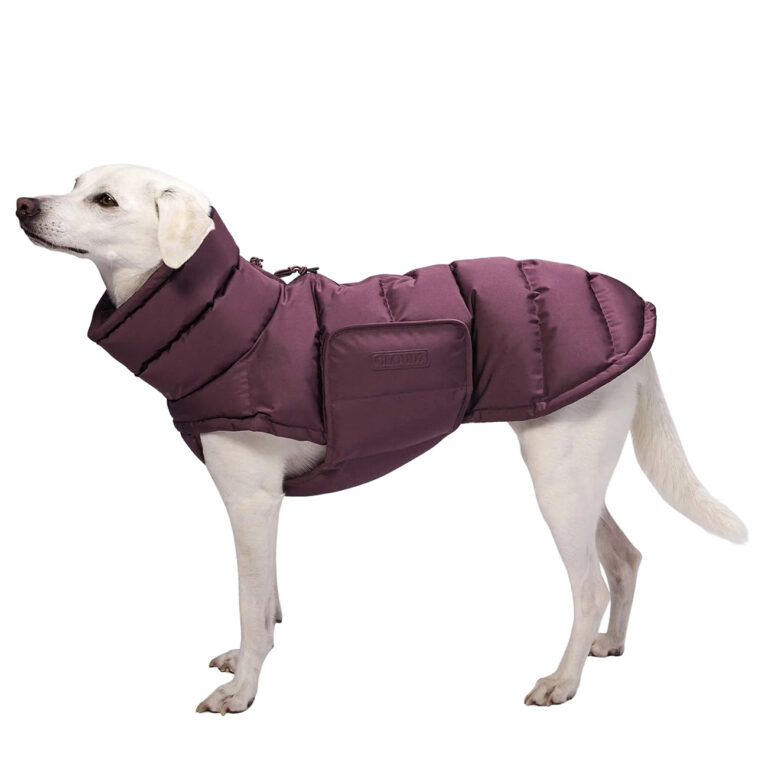 Hundemantel Alaska Dark Aubergine
