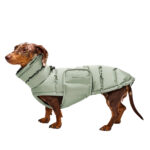 Hundemantel Dackel ALASKA Dusty Mint