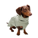 Hundemantel Dackel ALASKA Dusty Mint