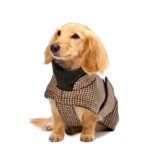 Hundemantel Dackel Brooklyn Houndstooth