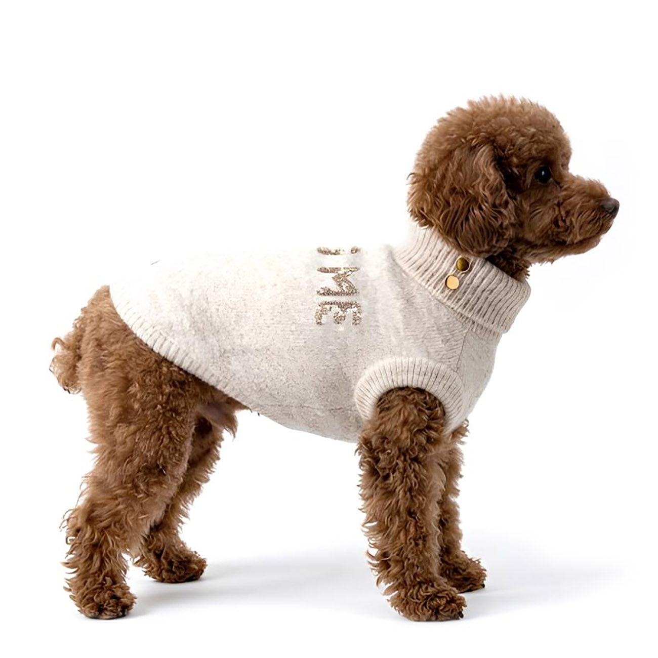 Hundepullover CARLOTTA