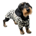 Hundepullover Dackel LEO
