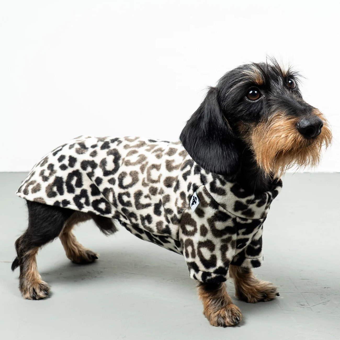 Hundepullover Dackel LEO