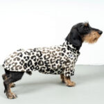 Hundepullover Dackel LEO