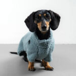 Hundepullover Dackel TEDDY Eisblau