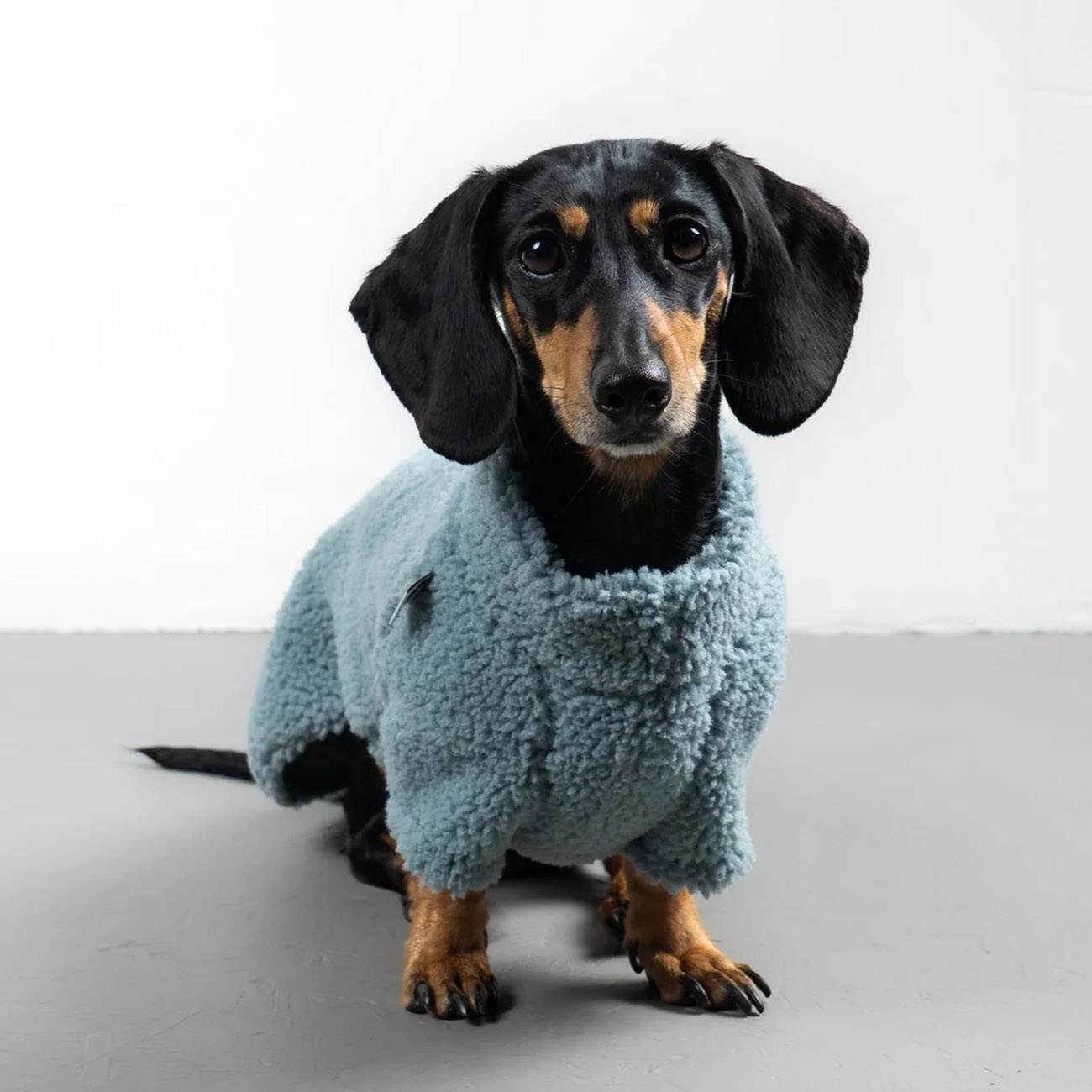 Hundepullover Dackel TEDDY Eisblau