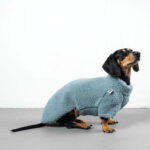 Hundepullover Dackel TEDDY Eisblau