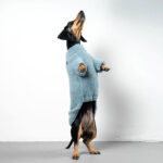 Hundepullover Dackel TEDDY Eisblau