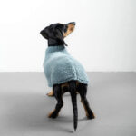 Hundepullover Dackel TEDDY Eisblau