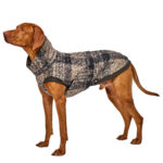 Hundepullover Gotland Tartan