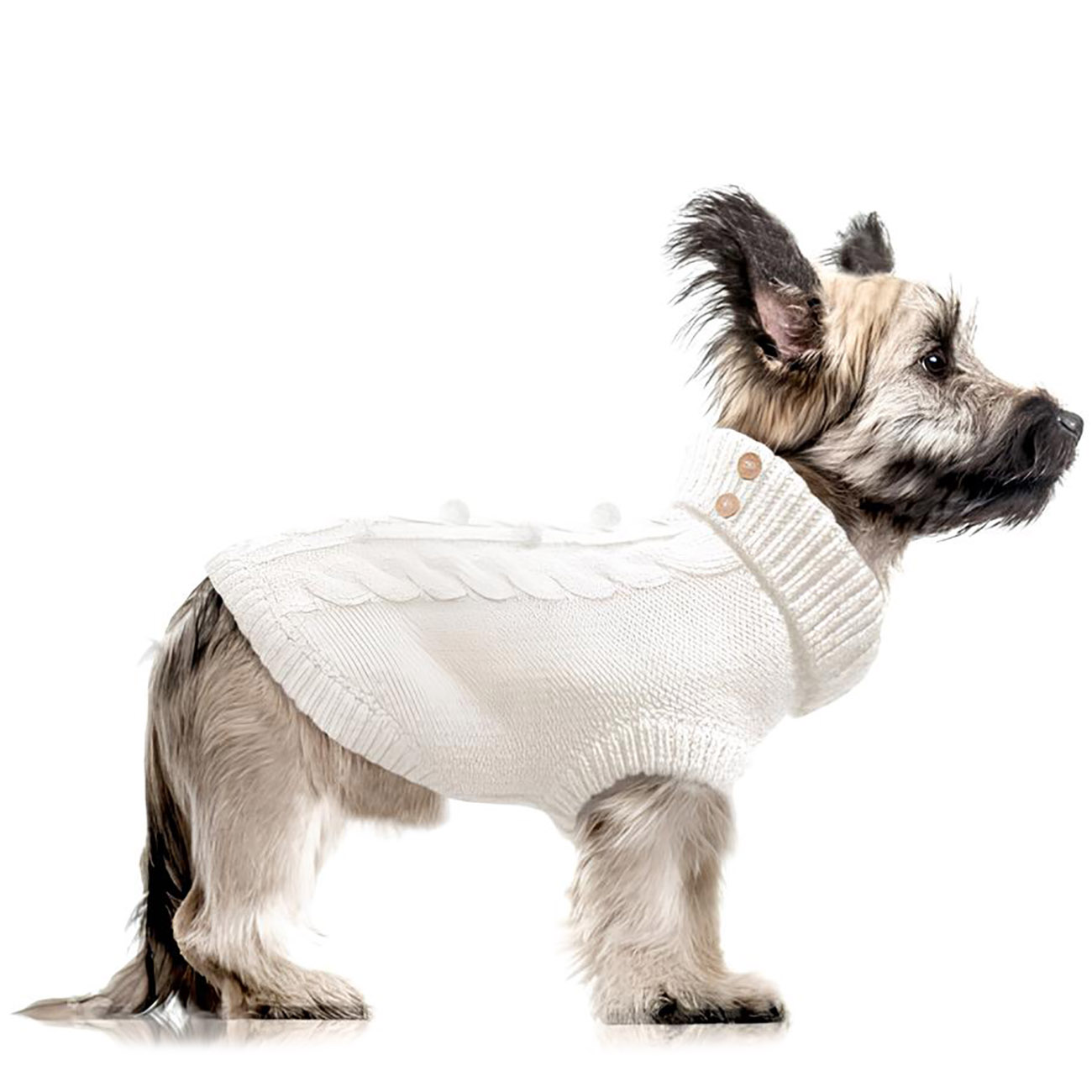Hundepullover KEELAN