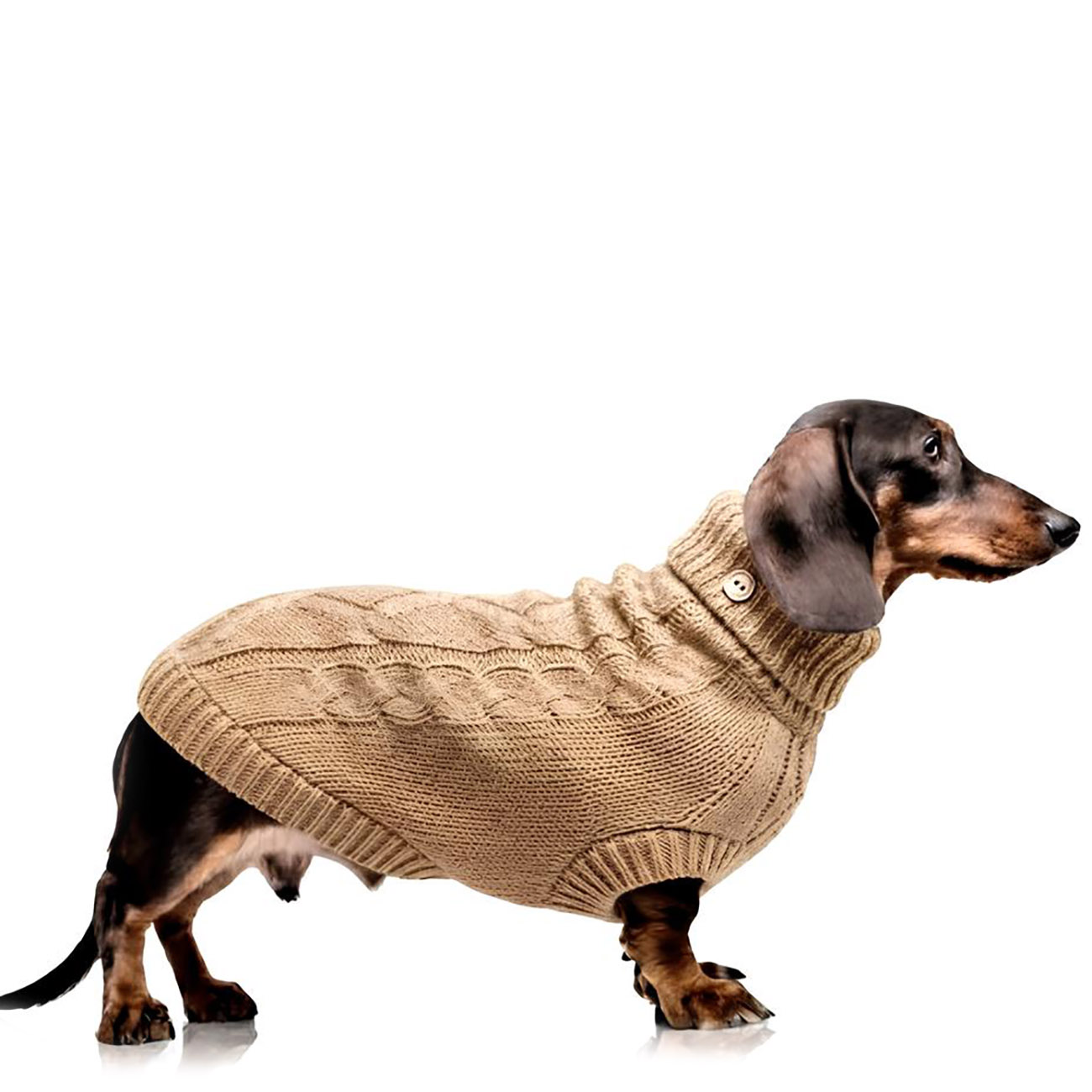 Hundepullover MONTGOMERY Toffee