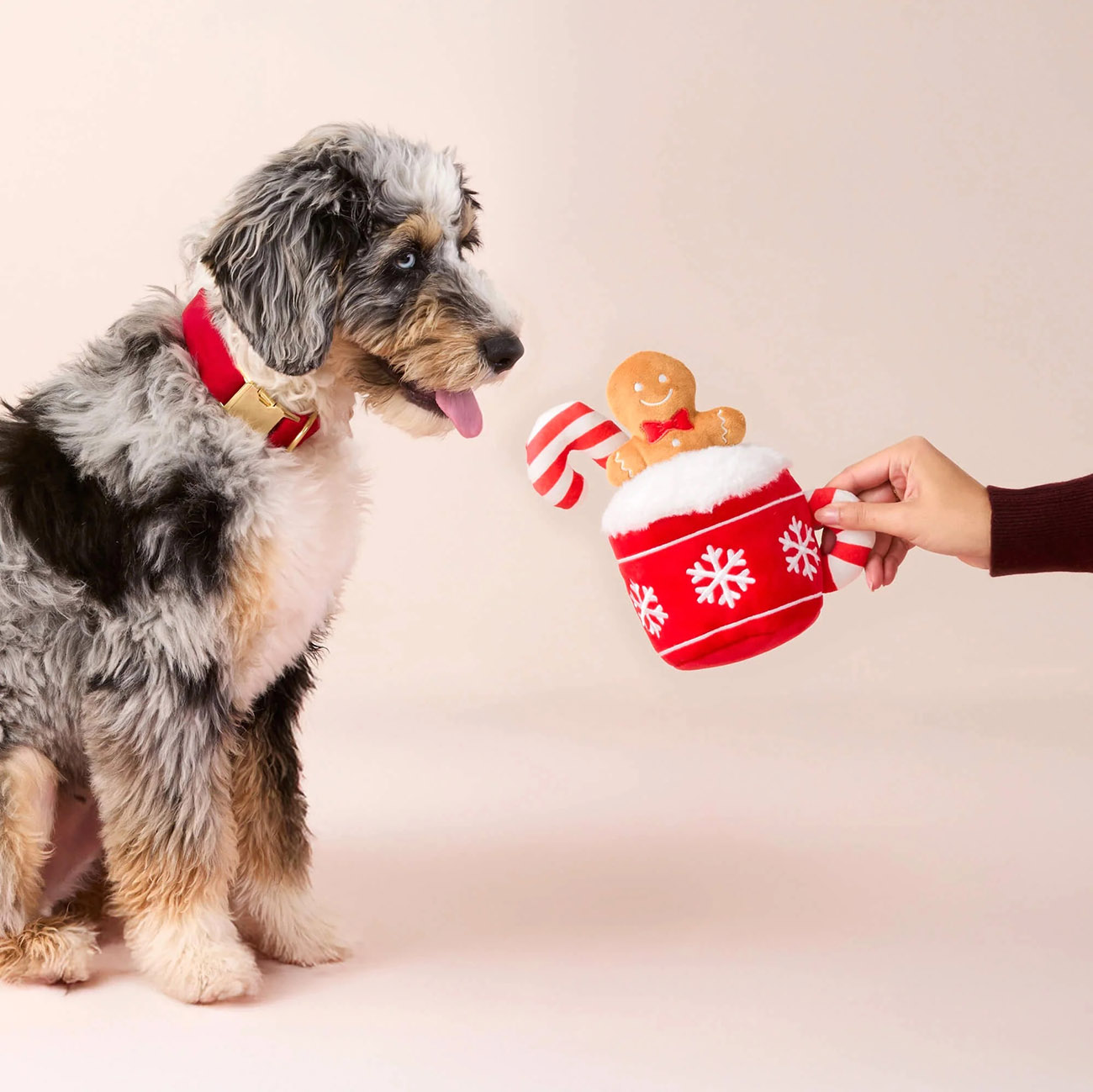 Interaktives Schnueffelspielzeug Fuer Hunde Holiday Hot Cocoa