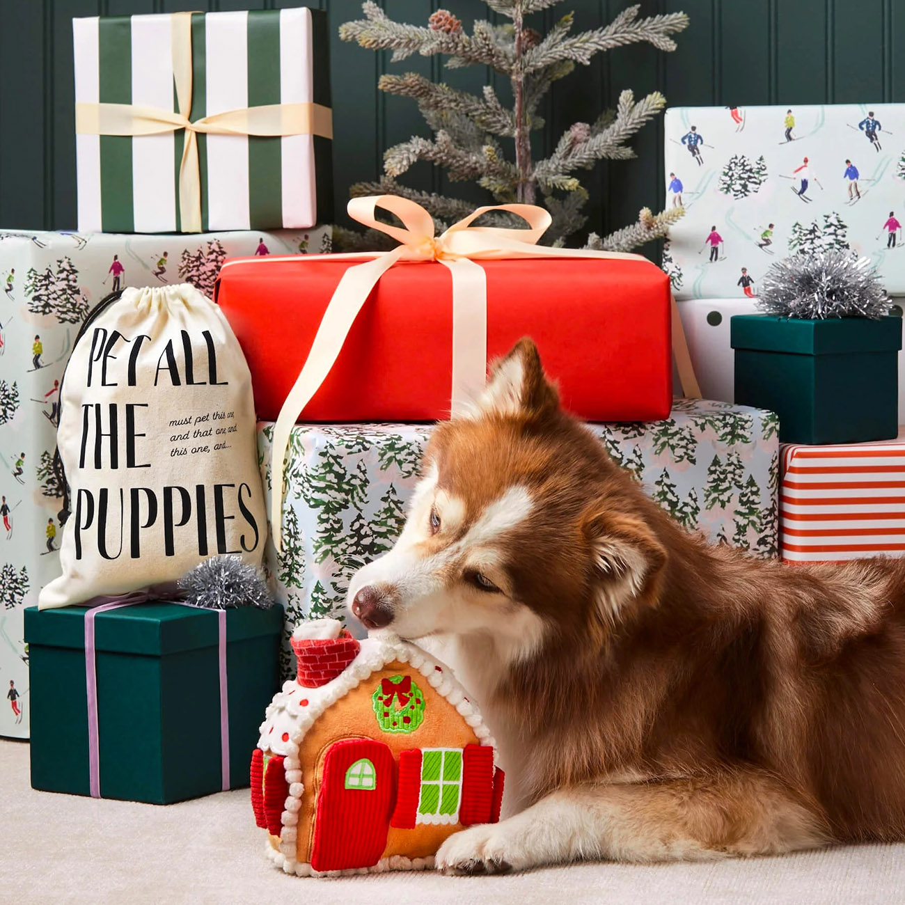 Lebkuchenhaus Interaktives Schnueffelspielzeug Fuer Hunde