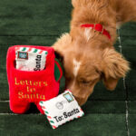 Letters To Santa Interaktives Schnueffelspielzeug Fuer Hunde