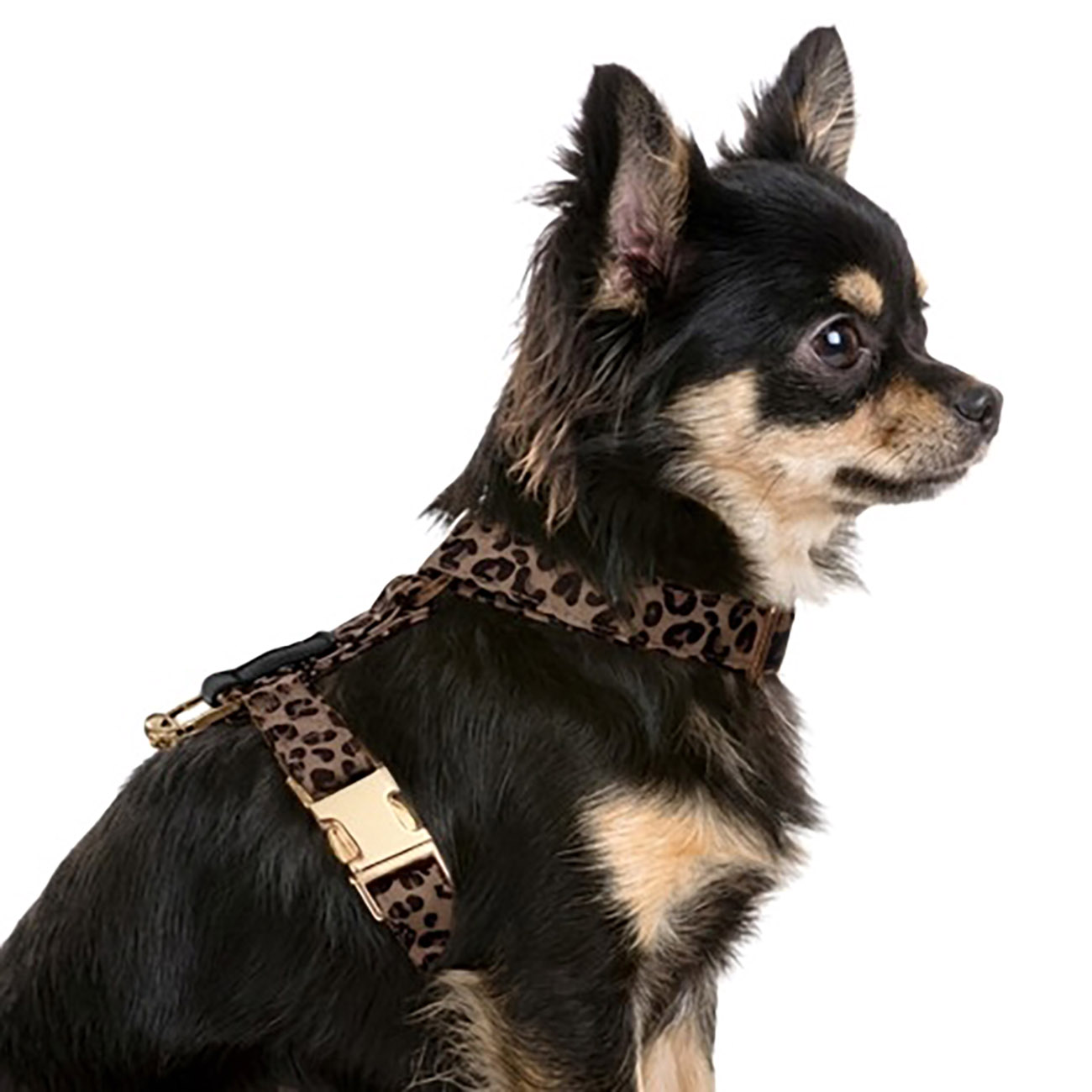 Milk Pepper Hundegeschirr ZARIA Leopard