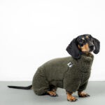 Overall Dackel TEDDY Olivgruen