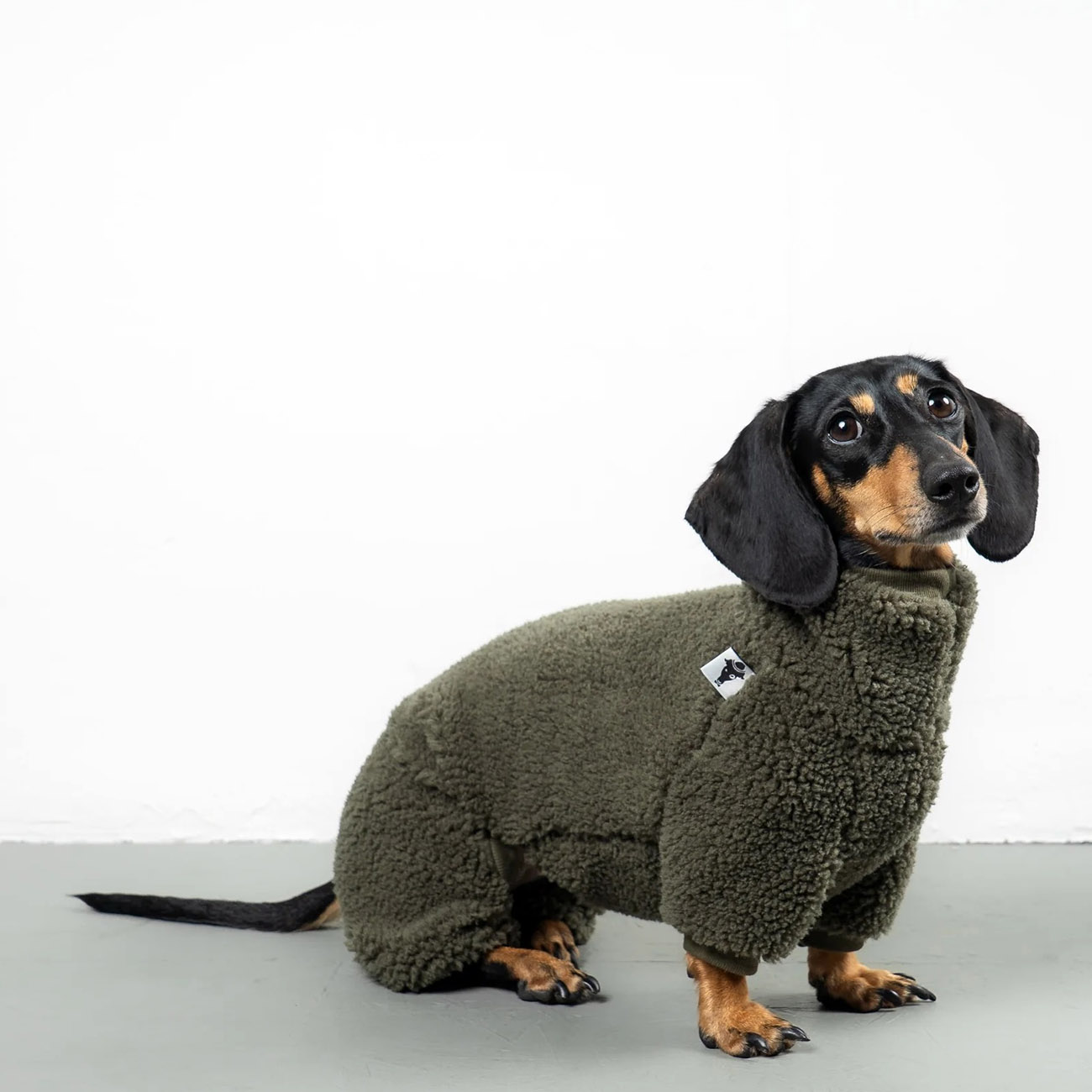 Overall Dackel TEDDY Olivgruen