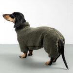 Overall Dackel TEDDY Olivgruen