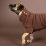 PAIKKA Furry Strickpullover Fuer Hunde Choco