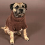 PAIKKA Furry Strickpullover Fuer Hunde Choco