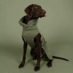 PAIKKA Seawool Hundeshirt Thyme