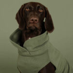 PAIKKA Seawool Hundeshirt Thyme